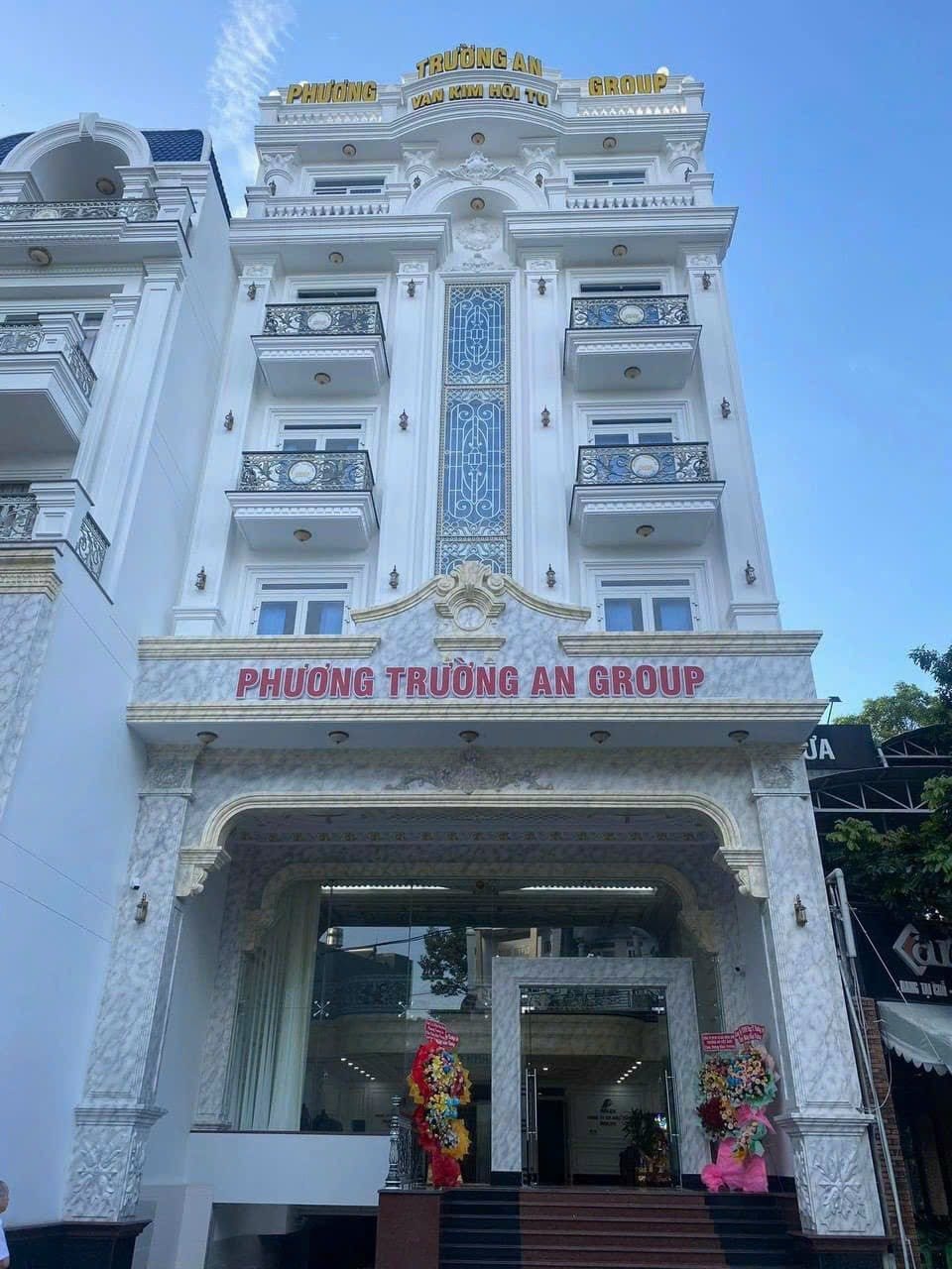 lĩnh vực hoạt động
